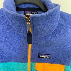 Patagonia synchilla vest